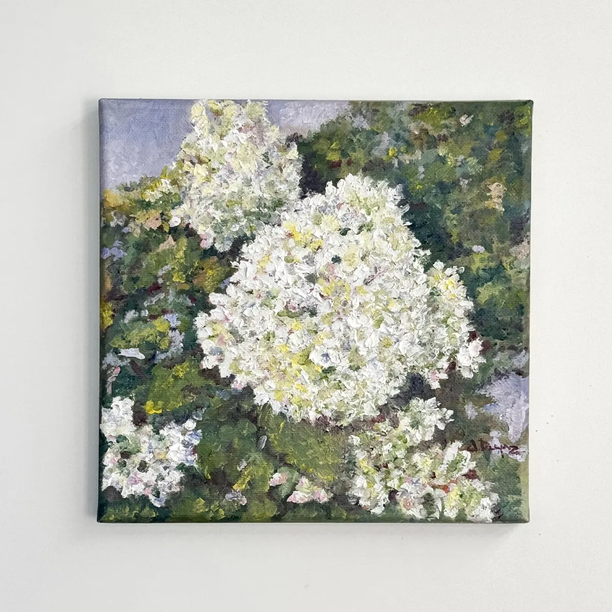Hydrangea Paniculata, Óleo sobre lienzo — fotografía 1