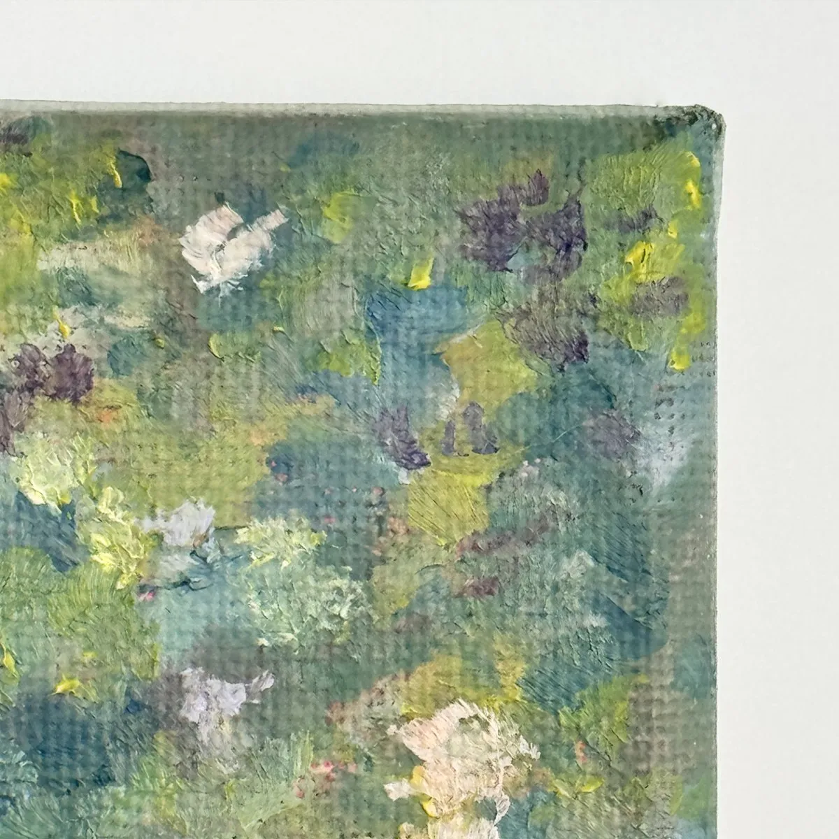 Hydrangea Paniculata, Óleo sobre lienzo — fotografía 3