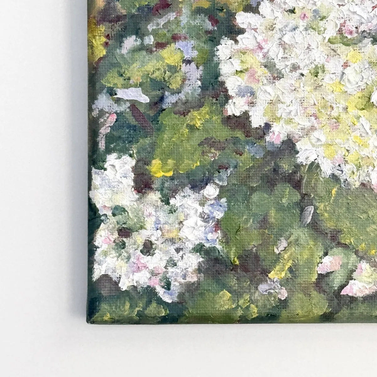 Hydrangea Paniculata, Óleo sobre lienzo — fotografía 7