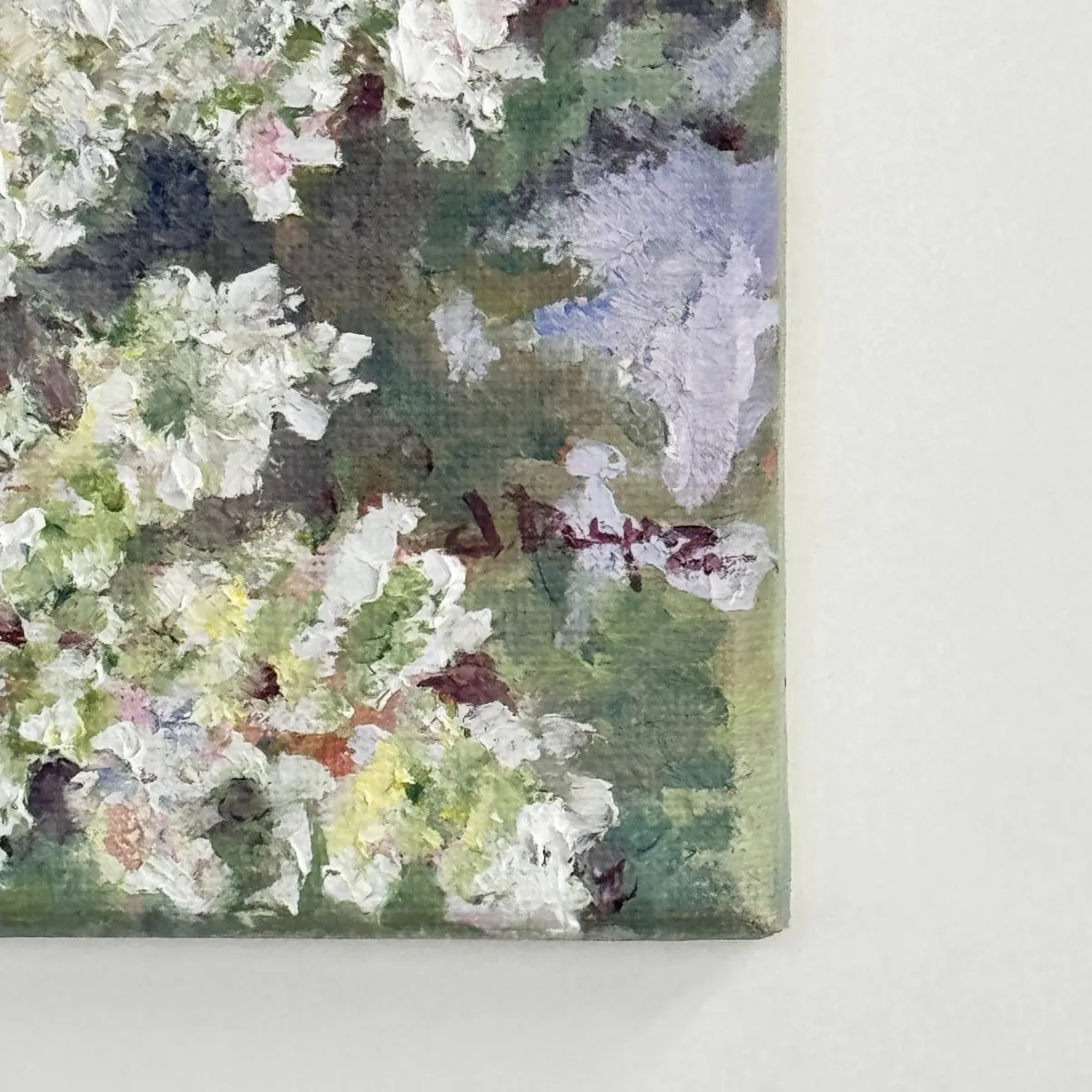Hydrangea Paniculata, Óleo sobre lienzo — fotografía 8